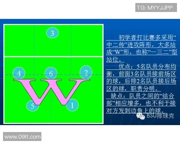 重庆排球队总决赛战术分析与表现评估的深度解读