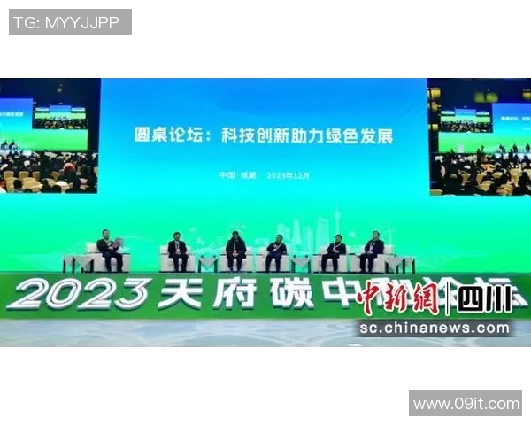 以体育公共事务为核心探索中国体育产业创新发展路径